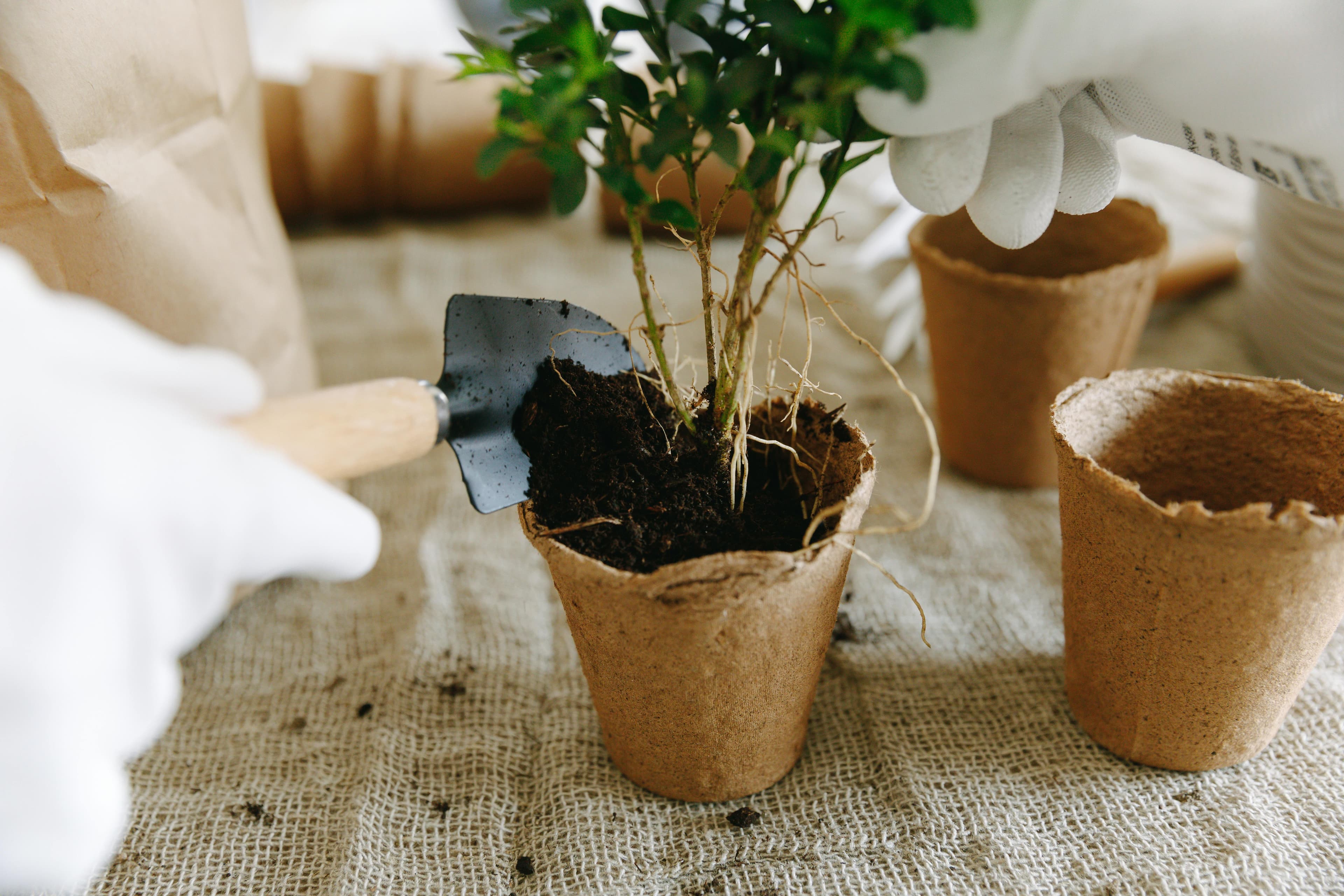 Different Types of Coir and Coco Products Exported from India