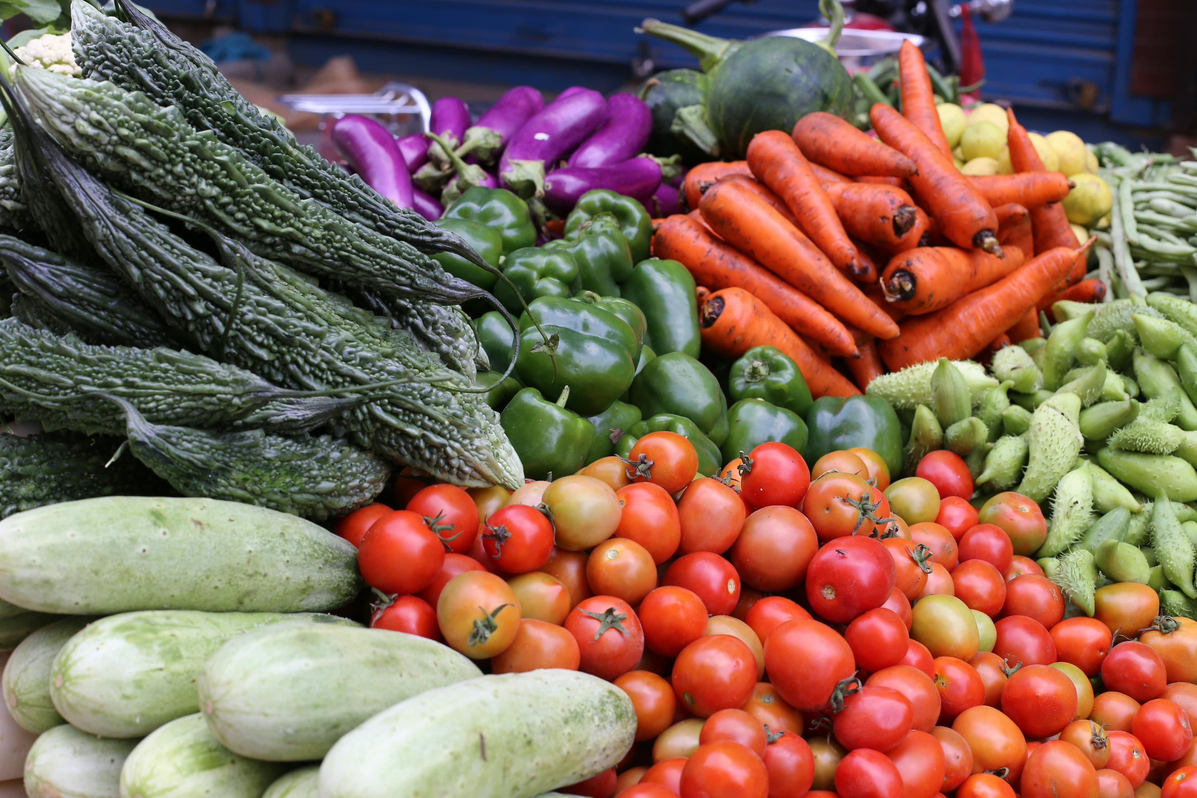 Growing Global Demand for Agro Products and Waste Paper Export from India